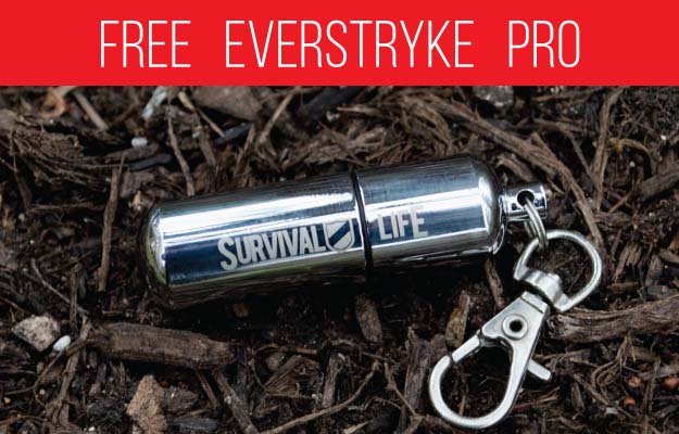 Everstryke Pro Review