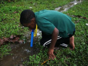 Water Filtration Straw