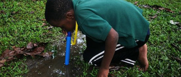 Water Filtration Straw