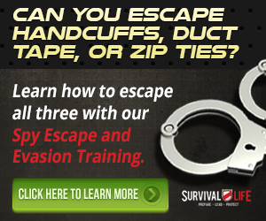 Spy Escape and Evasion Review